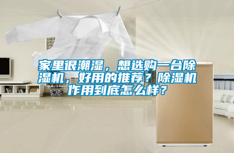 家里很潮濕，想選購一臺除濕機，好用的推薦？除濕機作用到底怎么樣？