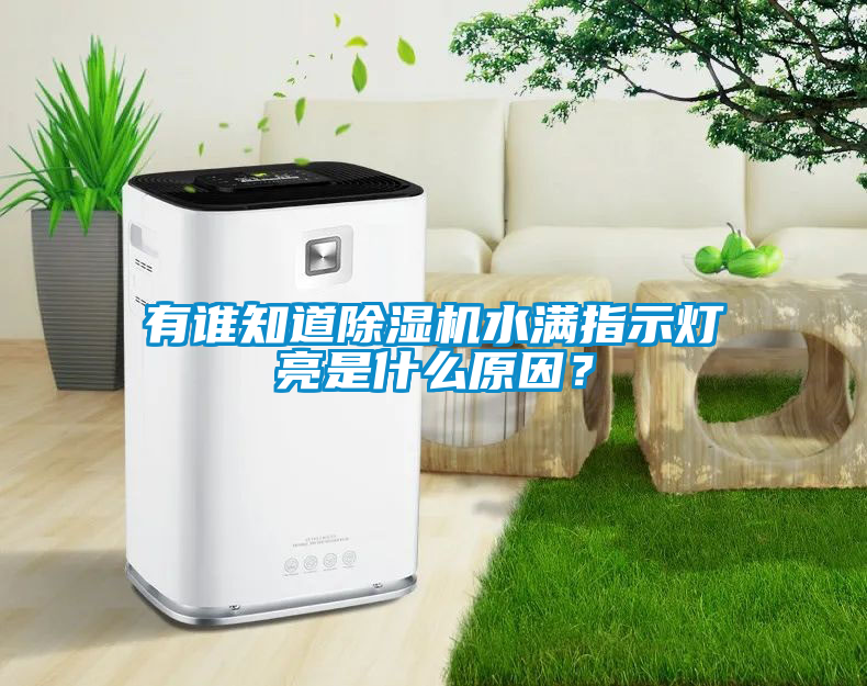 有誰(shuí)知道除濕機(jī)水滿指示燈亮是什么原因？