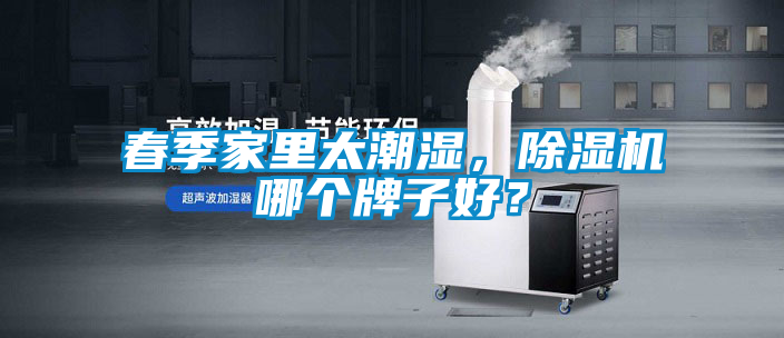 春季家里太潮濕，除濕機哪個牌子好？