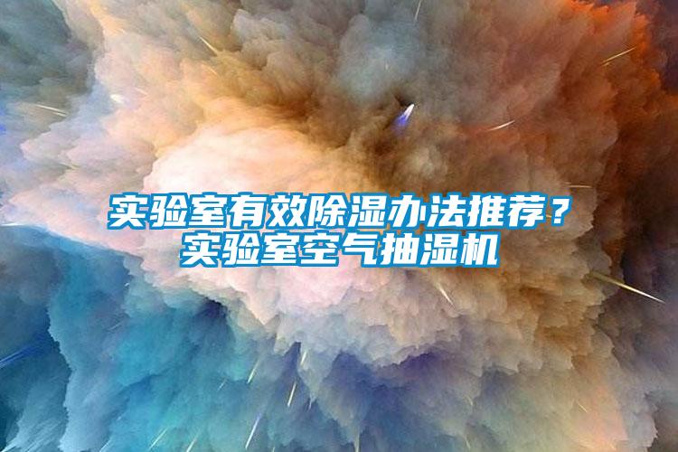 實(shí)驗(yàn)室有效除濕辦法推薦？實(shí)驗(yàn)室空氣抽濕機(jī)
