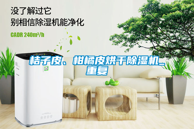 桔子皮、柑橘皮烘干除濕機(jī)_重復(fù)