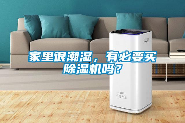 家里很潮濕，有必要買除濕機嗎？