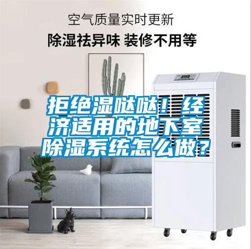 拒絕濕噠噠！經(jīng)濟(jì)適用的地下室除濕系統(tǒng)怎么做？