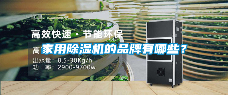 家用除濕機的品牌有哪些？