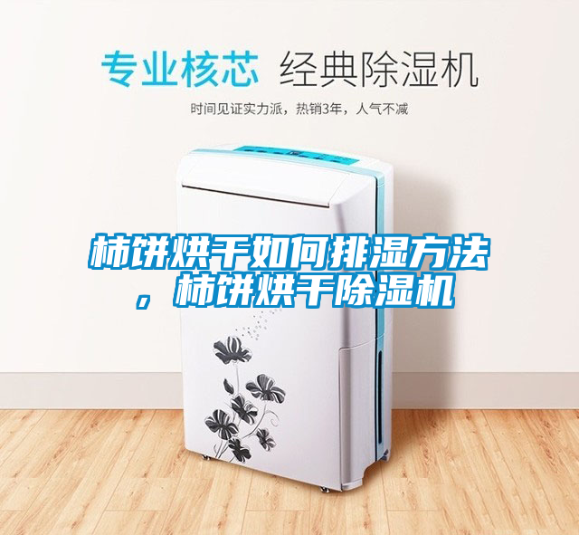 柿餅烘干如何排濕方法，柿餅烘干除濕機