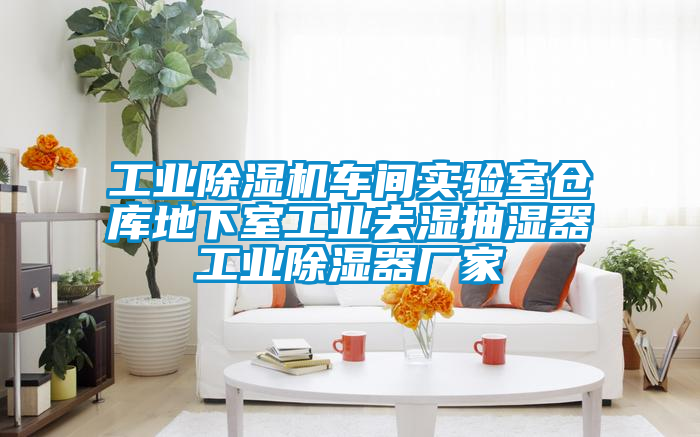 工業(yè)除濕機(jī)車(chē)間實(shí)驗(yàn)室倉(cāng)庫(kù)地下室工業(yè)去濕抽濕器工業(yè)除濕器廠(chǎng)家