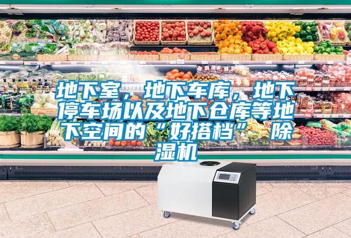 地下室，地下車庫，地下停車場以及地下倉庫等地下空間的“好搭檔” 除濕機
