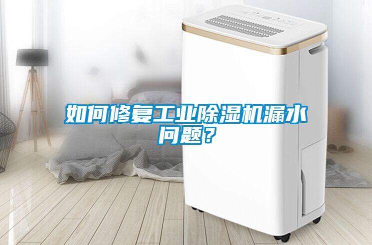 如何修復(fù)工業(yè)除濕機(jī)漏水問題？
