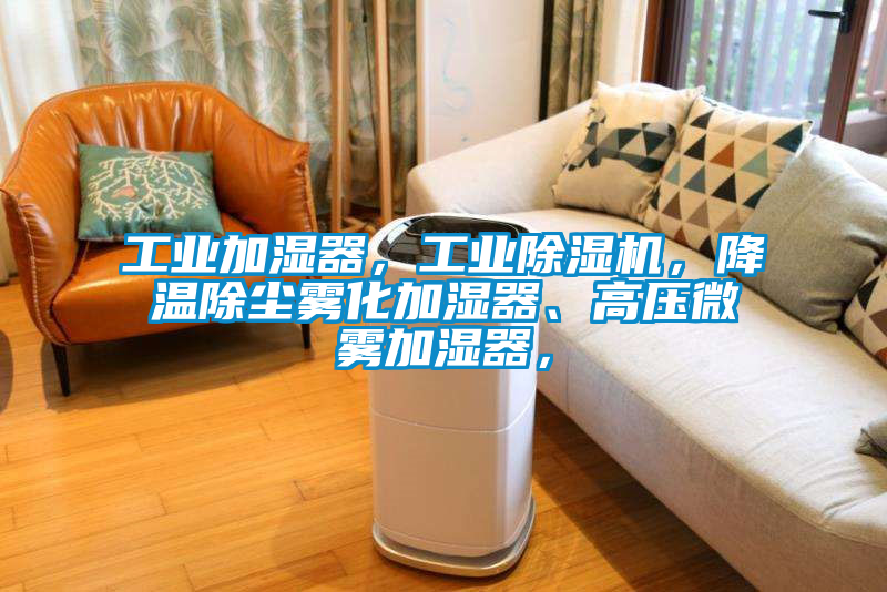 工業(yè)加濕器，工業(yè)除濕機(jī)，降溫除塵霧化加濕器、高壓微霧加濕器，