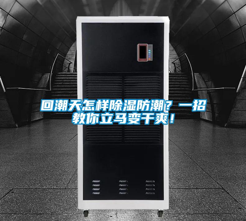 回潮天怎樣除濕防潮？一招教你立馬變干爽！