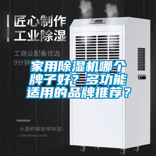 家用除濕機(jī)哪個(gè)牌子好？多功能適用的品牌推薦？