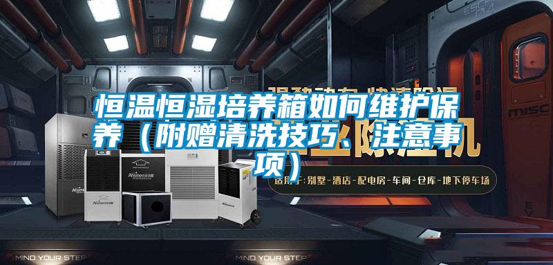 恒溫恒濕培養(yǎng)箱如何維護保養(yǎng)（附贈清洗技巧、注意事項）