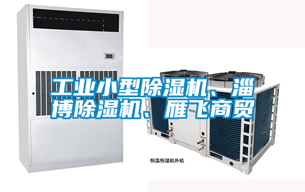 工業(yè)小型除濕機(jī)、淄博除濕機(jī)、雁飛商貿(mào)