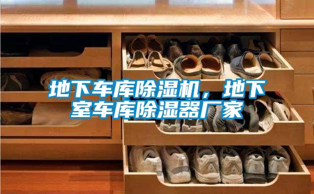 地下車庫除濕機(jī)，地下室車庫除濕器廠家