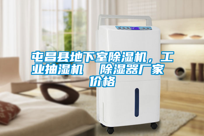 屯昌縣地下室除濕機，工業(yè)抽濕機  除濕器廠家 價格