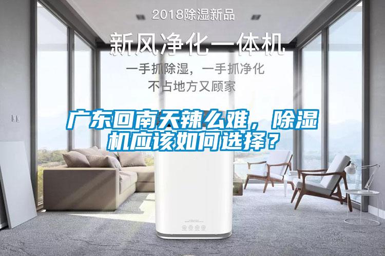 廣東回南天辣么難，除濕機應(yīng)該如何選擇？