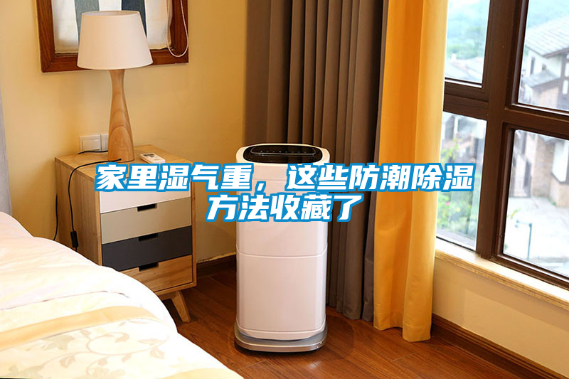 家里濕氣重，這些防潮除濕方法收藏了