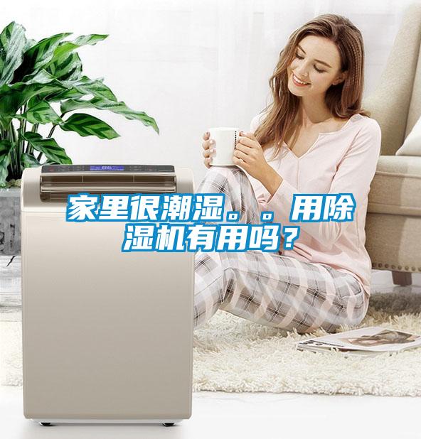 家里很潮濕。。用除濕機(jī)有用嗎？