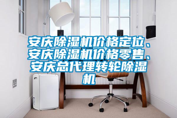 安慶除濕機價格定位、安慶除濕機價格零售、安慶總代理轉(zhuǎn)輪除濕機
