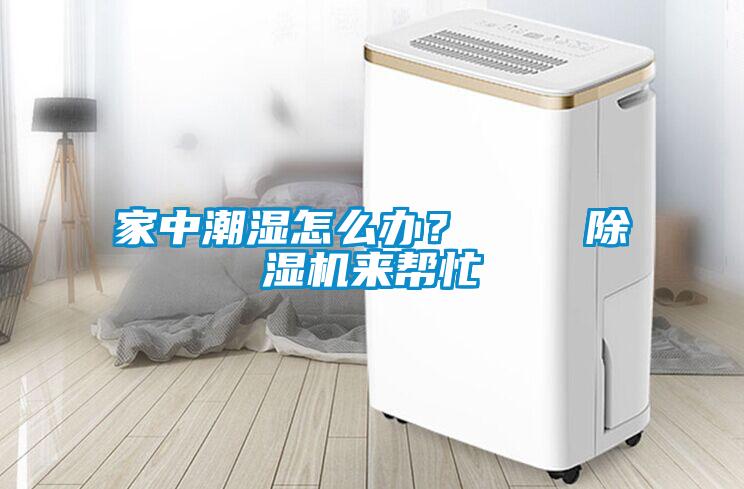 家中潮濕怎么辦？    除濕機來幫忙