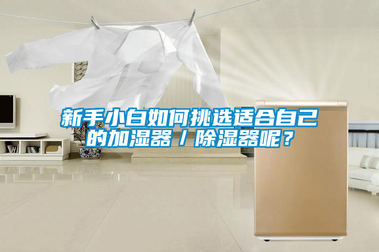 新手小白如何挑選適合自己的加濕器／除濕器呢？