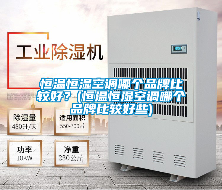 恒溫恒濕空調哪個品牌比較好？(恒溫恒濕空調哪個品牌比較好些)