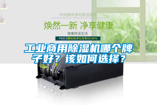 工業(yè)商用除濕機哪個牌子好？該如何選擇？