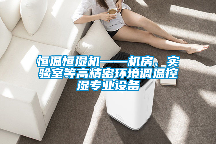 恒溫恒濕機——機房、實驗室等高精密環(huán)境調(diào)溫控濕專業(yè)設(shè)備