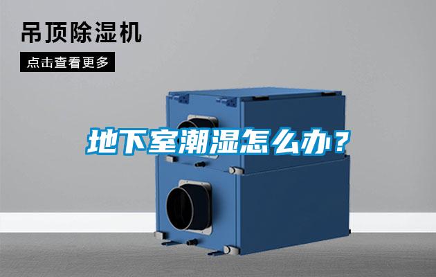 地下室潮濕怎么辦？