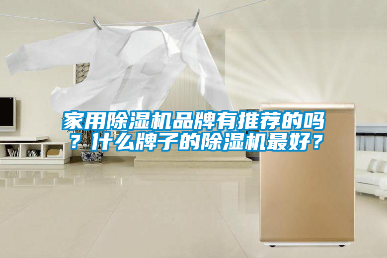 家用除濕機(jī)品牌有推薦的嗎？什么牌子的除濕機(jī)最好？