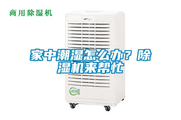 家中潮濕怎么辦？除濕機來幫忙