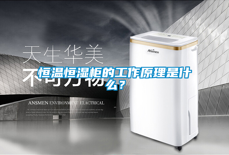 恒溫恒濕柜的工作原理是什么？