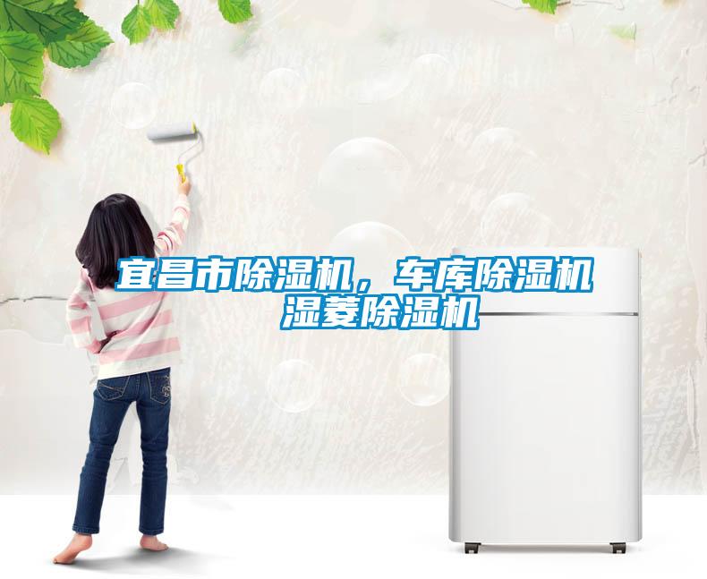 宜昌市除濕機(jī)，車(chē)庫(kù)除濕機(jī)  濕菱除濕機(jī)
