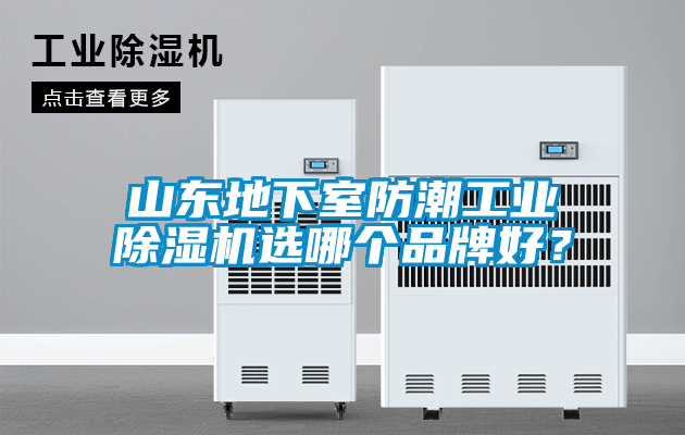 山東地下室防潮工業(yè)除濕機選哪個品牌好？