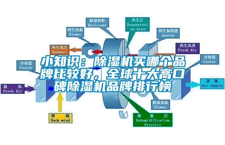 小知識：除濕機(jī)買哪個品牌比較好，全球十大高口碑除濕機(jī)品牌排行榜