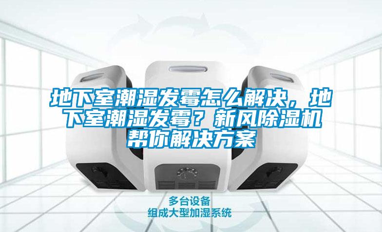 地下室潮濕發(fā)霉怎么解決，地下室潮濕發(fā)霉？新風(fēng)除濕機(jī)幫你解決方案