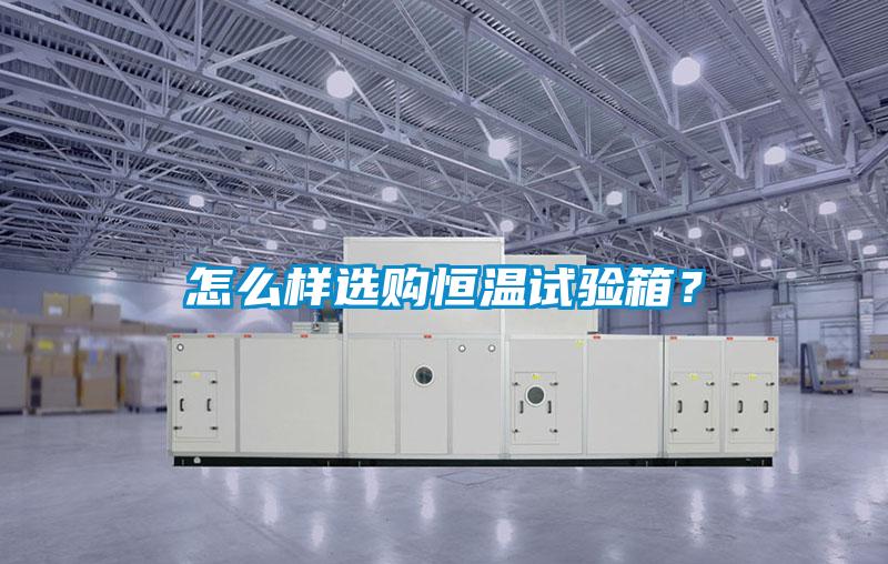 怎么樣選購恒溫試驗箱？