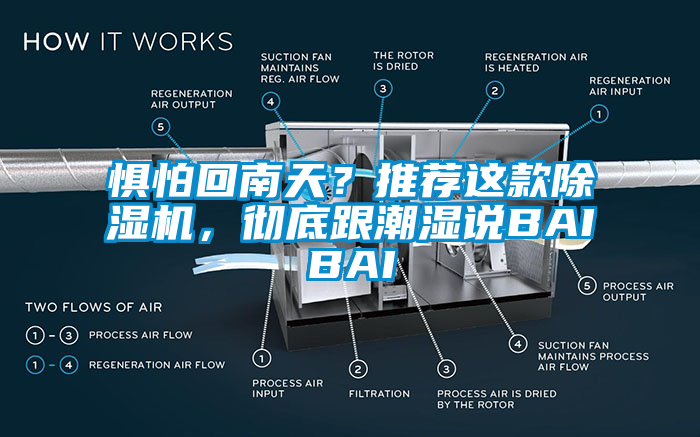 懼怕回南天？推薦這款除濕機，徹底跟潮濕說BAIBAI