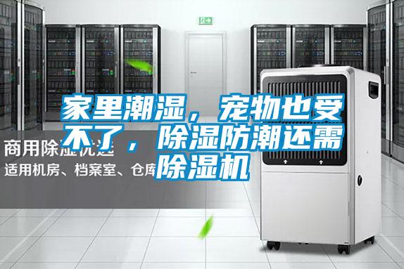 家里潮濕，寵物也受不了，除濕防潮還需除濕機(jī)