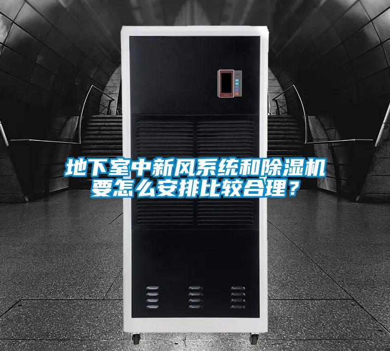 地下室中新風系統(tǒng)和除濕機要怎么安排比較合理？