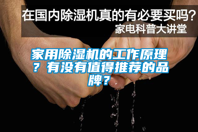 家用除濕機的工作原理？有沒有值得推薦的品牌？