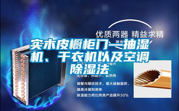 實(shí)木皮櫥柜門—抽濕機(jī)、干衣機(jī)以及空調(diào)除濕法