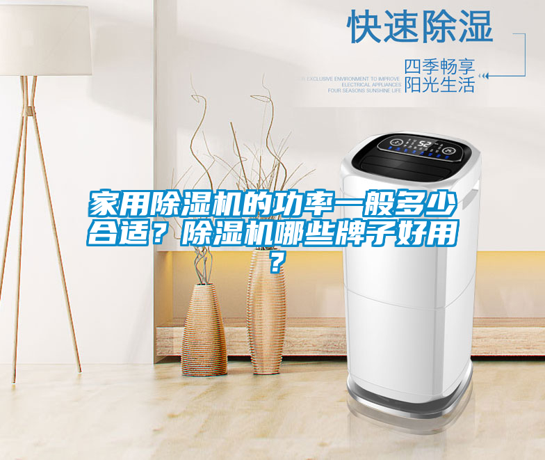 家用除濕機(jī)的功率一般多少合適？除濕機(jī)哪些牌子好用？