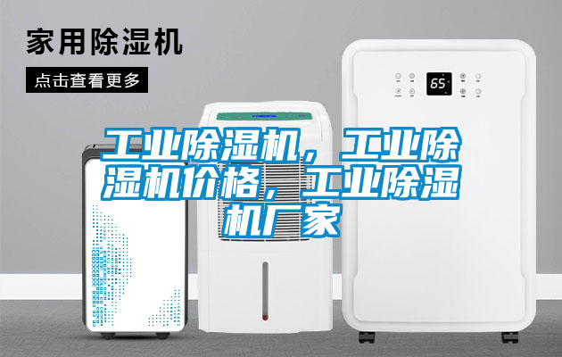 工業(yè)除濕機，工業(yè)除濕機價格，工業(yè)除濕機廠家