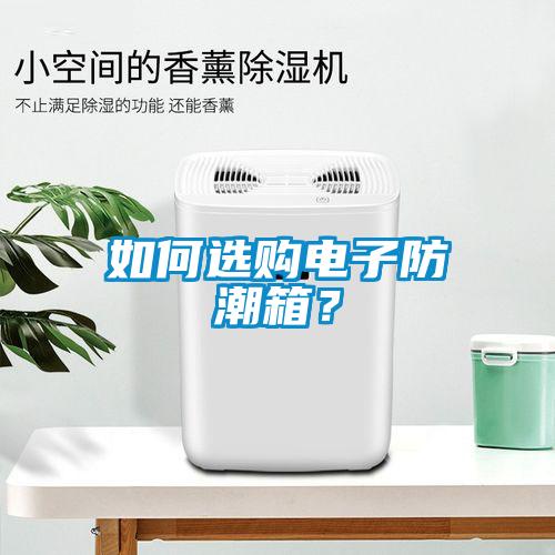如何選購電子防潮箱？