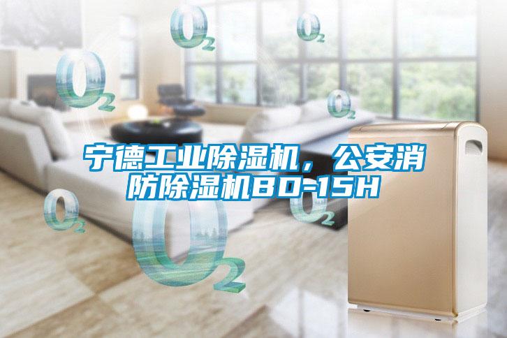 寧德工業(yè)除濕機，公安消防除濕機BD-15H