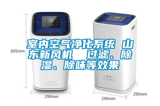 室內(nèi)空氣凈化系統(tǒng) 山東新風機  過濾、除濕、除味等效果