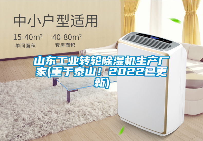 山東工業(yè)轉(zhuǎn)輪除濕機(jī)生產(chǎn)廠家(重于泰山！2022已更新)