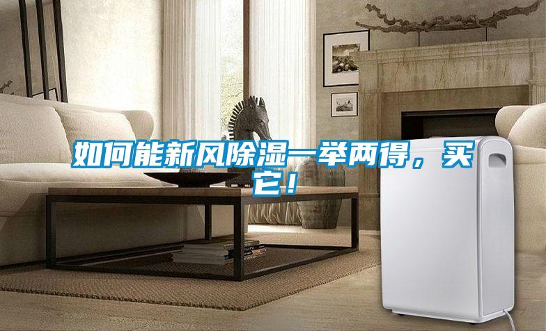 如何能新風除濕一舉兩得，買它！