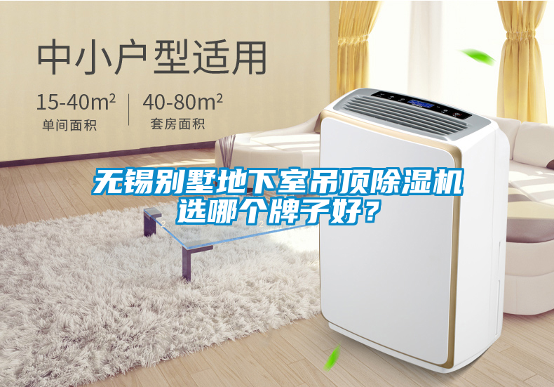 無錫別墅地下室吊頂除濕機選哪個牌子好？